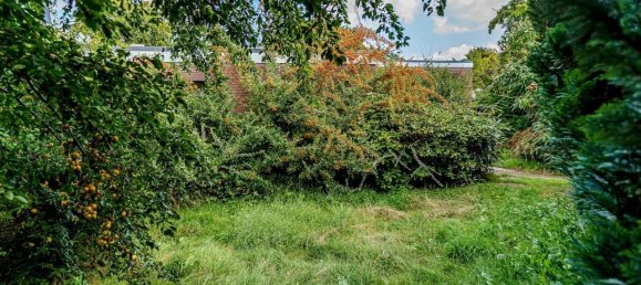 5-Zimmer Stadthaus in Pinneberg, Germany, Nr. 351131 7