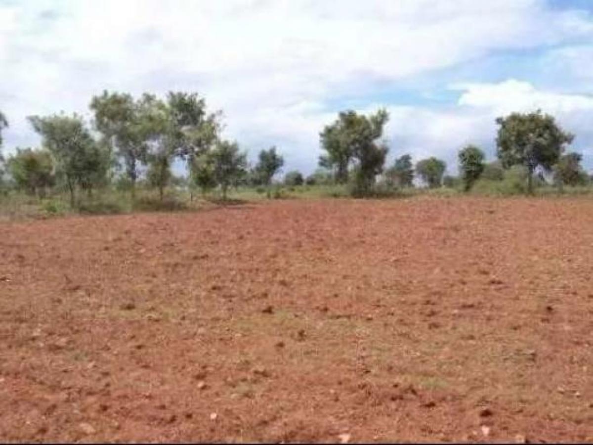 Grundstück in Ghaziabad, India, Nr. 34742