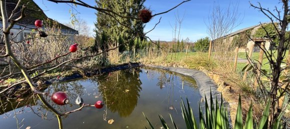 7 bedrooms House in Marcillac-la-Croisille, France No. 101883 17