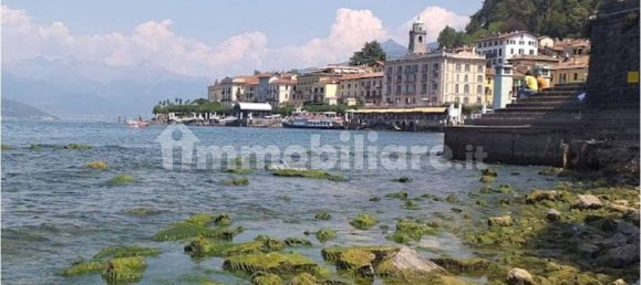 Apartamento de 1 dormitorio en Busto Garolfo, Italy No. 11791 20