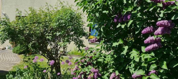 Moradia em banda T6 em Vorpommern-Rugen, Germany N.º 282814 10