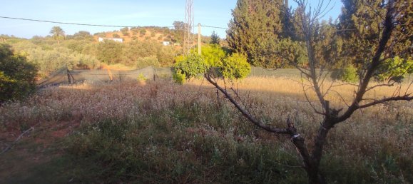 4 bedrooms House in Mijas, Spain No. 148429 21