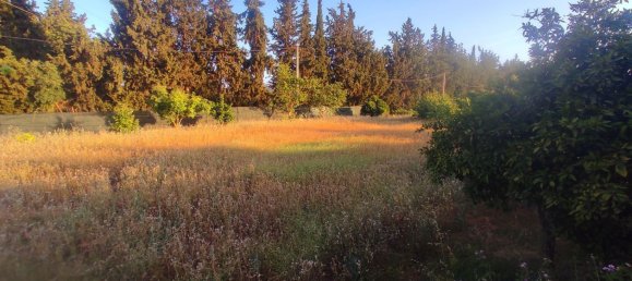 4 bedrooms House in Mijas, Spain No. 148429 4