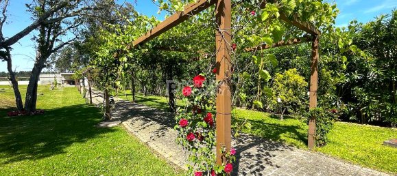 6 bedrooms Villa in Aveiro, Portugal No. 120254 21