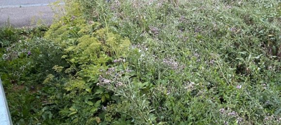  موقف سيارات في Alb-Donau-Kreis, Germany 18متر مربع رقم 247372 6