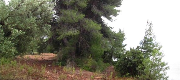 Отель, гостиница 54096м² в Халкидики, Центральная Македония, Македония и Фракия, Греция № 7151 3