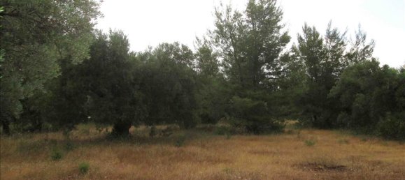Отель, гостиница 54096м² в Халкидики, Центральная Македония, Македония и Фракия, Греция № 7151 5