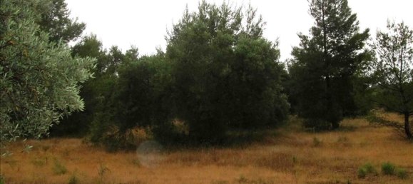 Отель, гостиница 54096м² в Халкидики, Центральная Македония, Македония и Фракия, Греция № 7151 13