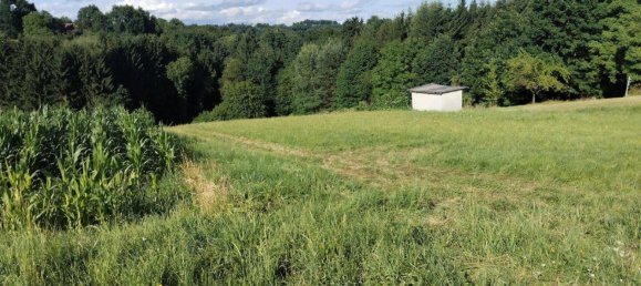 4000m² Land in Burgauberg-Neudauberg, Austria No. 151436 3