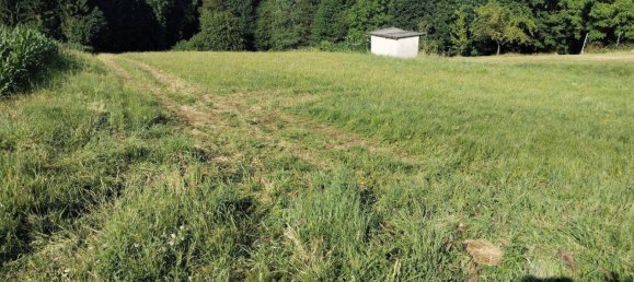 4000m² Land in Burgauberg-Neudauberg, Austria No. 151436 2