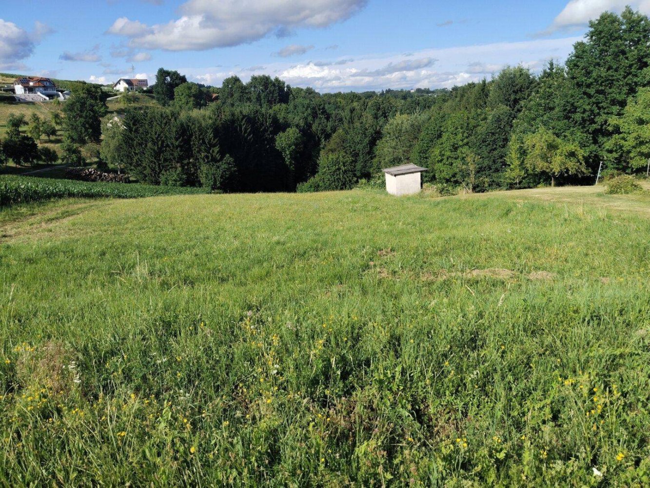 4000m² Land in Burgauberg-Neudauberg, Austria No. 151436