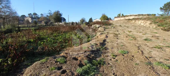 Terrain à Povoa de Lanhoso, Portugal 435m² No. 80526 13
