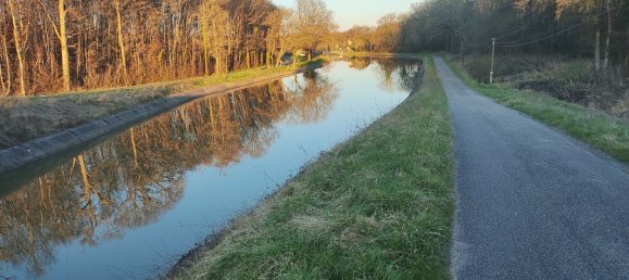 Terrain à Rogny-les-Sept-Écluses, France 3888m² No. 59517 3