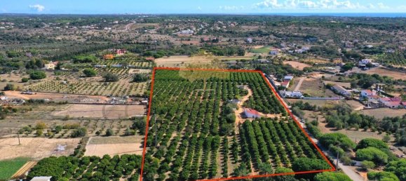 Grundstück in Quarteira, Portugal 600m², Nr. 298973 10