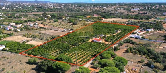 Grundstück in Quarteira, Portugal 600m², Nr. 298973 8