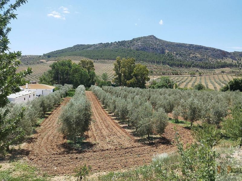 3 bedrooms House in Malaga, Spain No. 226662