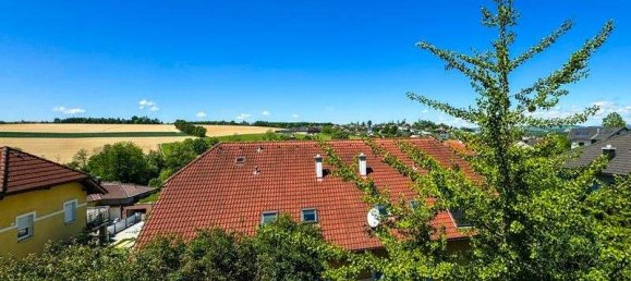 Villa de 9 divisões em Weisskirchen an der Traun, Austria N.º 105988 2