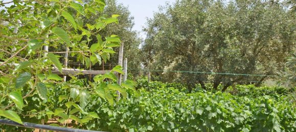 Hotel en Euboea, Greece 3000 m² No. 7746 5