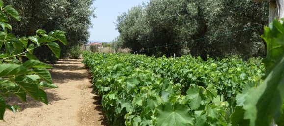 Hotel en Euboea, Greece 3000 m² No. 7746 7