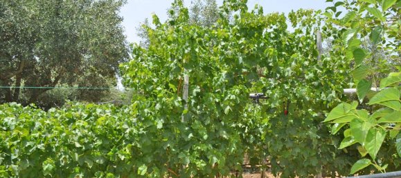 Hotel en Euboea, Greece 3000 m² No. 7746 9