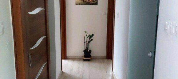 3 rooms House in Klingenbach, Austria No. 180810 17