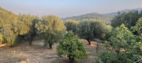 6-Zimmer Haus in Torre Orsaia, Italy, Nr. 292551 10