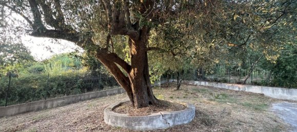 6-Zimmer Haus in Torre Orsaia, Italy, Nr. 292551 26