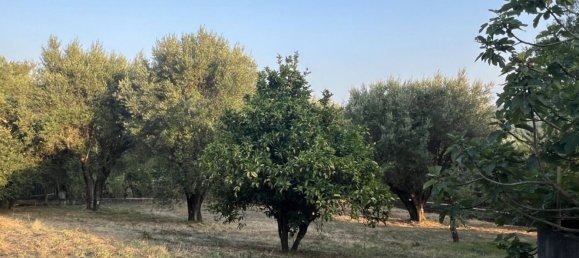 6-Zimmer Haus in Torre Orsaia, Italy, Nr. 292551 2