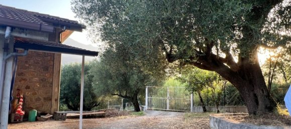 6-Zimmer Haus in Torre Orsaia, Italy, Nr. 292551 14