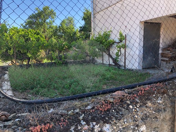 5 غرف نوم منزل في Cedovim, Portugal رقم 23900