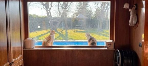 Вилла с 3 спальнями в Рим, Италия № 156221 31