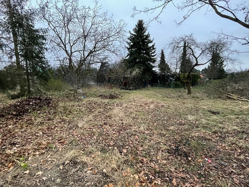  قطعة أرض في Dahme-Spreewald, Germany رقم 93848