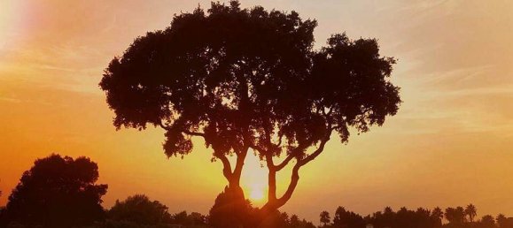 Grundstück in Alhaurin de la Torre, Spain, Nr. 237233 7