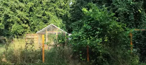 Дом с 5 комнатами в Gorlitz, Германия № 261263 20