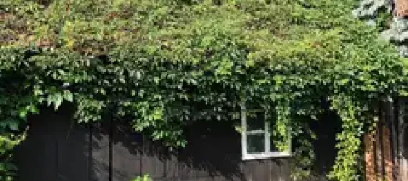 Дом с 5 комнатами в Gorlitz, Германия № 261263 17