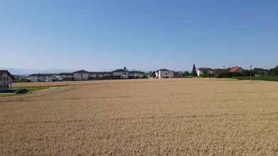 4 rooms Apartment in Kematen an der Krems, Austria No. 259507