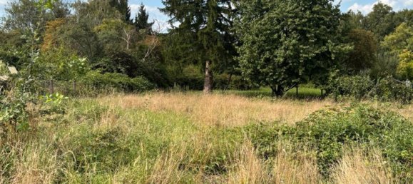 Таунхаус с 3 спальнями в Зарлуи, Германия № 318615 16