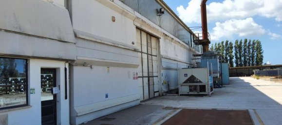 5280m² Warehouse in Latina, Italy No. 203010 14