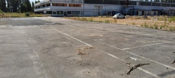 5280m² Warehouse in Latina, Italy No. 203010 2
