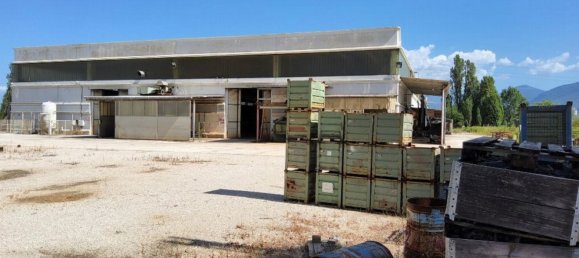 5280m² Warehouse in Latina, Italy No. 203010 6