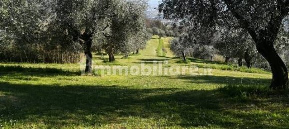 5 Schlafzimmer Haus in Pistoia, Italy, Nr. 219057 14