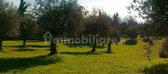 5 Schlafzimmer Haus in Pistoia, Italy, Nr. 219057 3