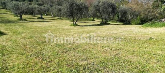 5 Schlafzimmer Haus in Pistoia, Italy, Nr. 219057 13