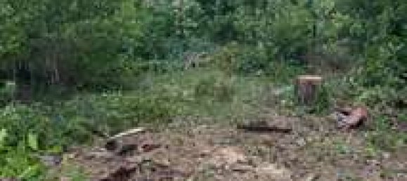  Land in Potsdam-Mittelmark, Germany No. 240131 6