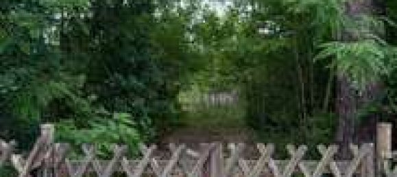  Land in Potsdam-Mittelmark, Germany No. 240131 4