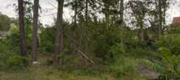  Land in Potsdam-Mittelmark, Germany No. 240131 2