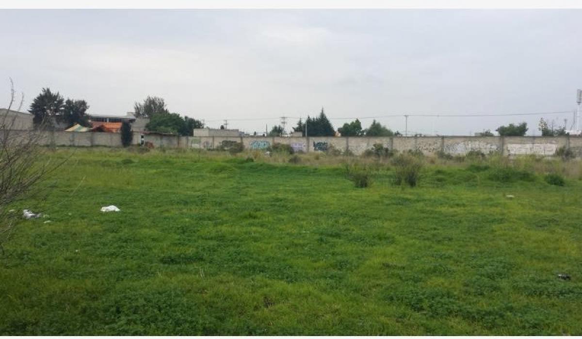  Land in Mexico No. 205208