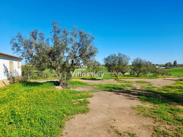 8 Schlafzimmer Haus in Beja, Portugal, Nr. 344181