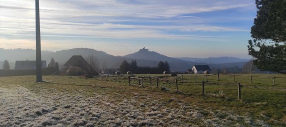 Земельный участок в Л'Иль-д'Або, Франция № 57221 5