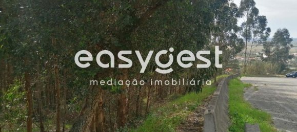 15812m² Land in Coimbra, Portugal No. 91333 8